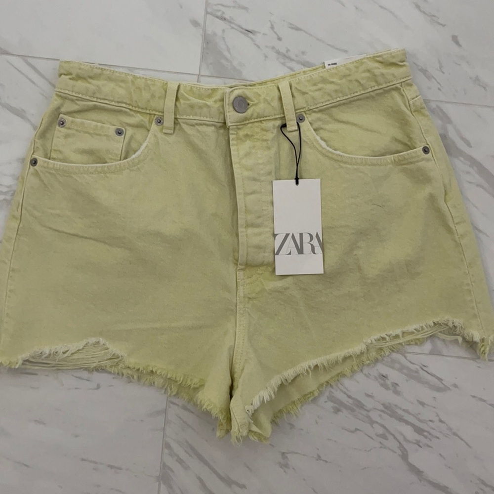 Zara Shorts